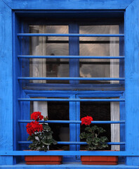 Blue window and red pelargonium