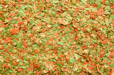 Food for aquarium fish, background, texture, top view. Pile of flakes for feeding tropical aquarium fish. Fish food in flakes. Fish food, background, texture, top view.