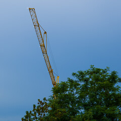 Beam of crane over green tree on dark blue sky background