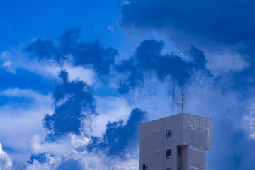 2008년 8월 어느 맑은 여름날 구름 풍경 #5