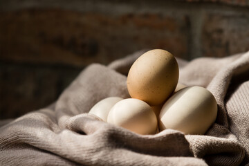 chicken eggs on a cloth