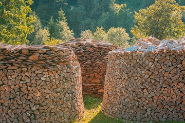 Many round heaps of woodpile on a green meadow in the wood. Background. Brown. Dry. Forest. Fire....