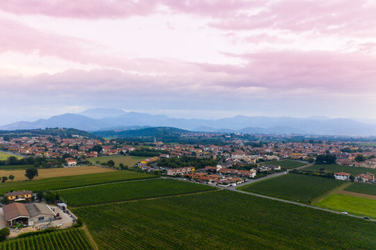 aerial view vineyard scenery. Aerial / Drone panorama of vineyard and agricultural fields. Late summer aerial landscape of valley in Tuscany. Italy. © Strikernia