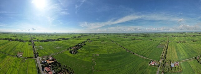 defaultThe Paddy Rice Fields of Kedah and Perlis, Malaysia