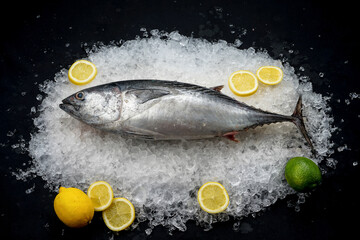 fresh large herring fish on ice