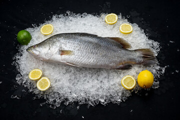 fresh sea dorado fish on ice with lemon