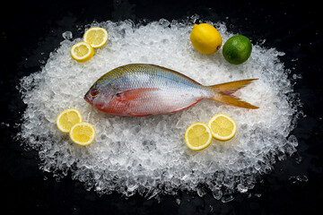fresh sea mackerel fish on ice with lemon