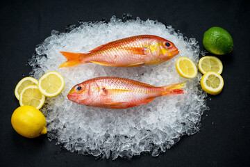 two red fish on ice with lemons on a black background