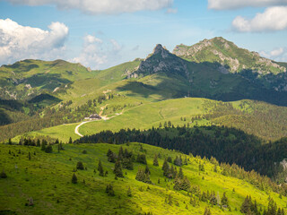 Obraz premium landscape in summer