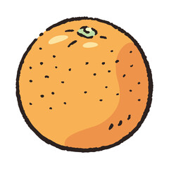 食べ物_果物_オレンジ