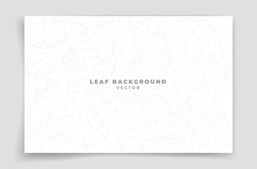 leaf outline vector on white background or wallpaper. Luxury and natural background.