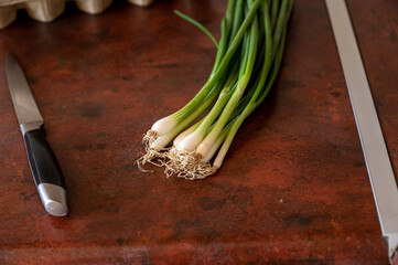 A bunch of green onions and a kitchen knife lying on the kitchen table. Raw vegetables on the burgundy countertop. Close-up. Selective focus.