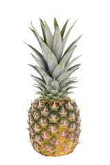 Fototapeta premium Single whole pineapple isolated on white background. Exotic fruit.