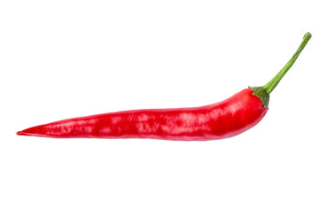 Single chili pepper isolated on white background. Chili hot pepper whole.