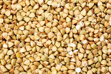 fresh buckwheat. dry buckwheat background. buckwheat texture.
