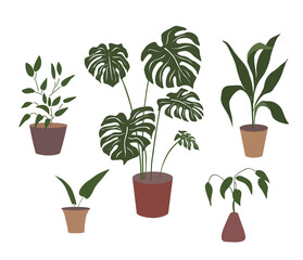Botanical minimal drawing design set. Aesthetic boho plants vector illustration.