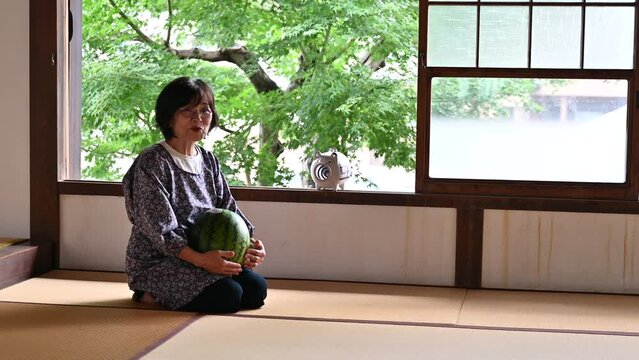 夏の日本のイメージ