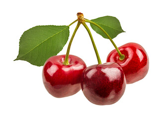 Cherry isolated on white background with clipping path