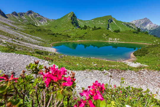 Tannheimer Tal - Lache - See - Alpen - Sommer