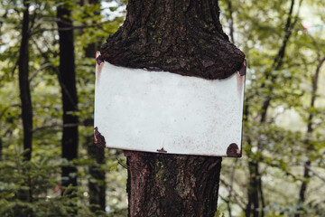 Eingewachsenes Schild