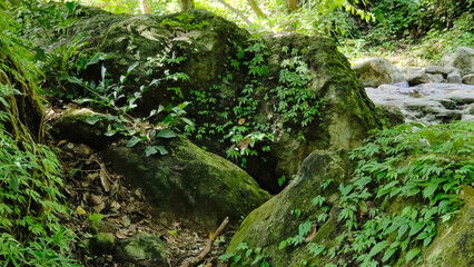 Forest waterfall on mossy stones. Waterfall River rocks covered with green moss.