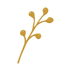 autumn botanical illustration of a branch with linden seeds