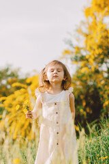 Cute toddler girl with long hairs wear casual dress walking, runing in field with green grass and blooming trees with yellow flowers.