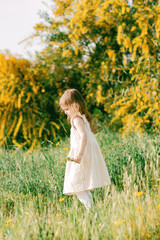 Fototapeta na wymiar Cute toddler girl with long hairs wear casual dress walking, runing in field with green grass and blooming trees with yellow flowers.