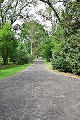 Scheitniger Park mit Schotterweg und Bäumen in Breslau, Polen, Sommer