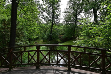 Kleine Holzbrücke Drewniany Mostek über den Teich Lasek bambusowy na wyspie im Scheitniger Park...