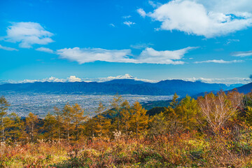 甘利山より富士山を望む