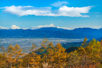 甘利山より富士山を望む