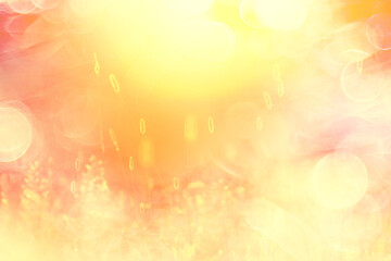 Obraz premium summer seasonal field sun background bokeh grass sunset abstract