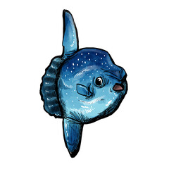 blue fish cartoon