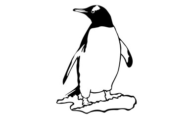 adorable Penguin vector