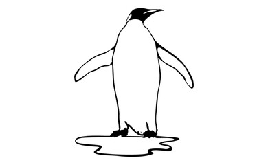 adorable Penguin vector