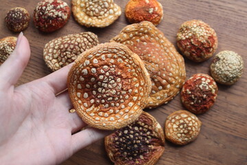 dried mushrooms