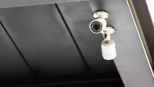 A security wireless camera which is installed at ceiling, using to monitor around the area. Technology and object photo.