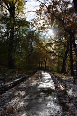walking on the streets of nyc