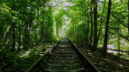 View from the train cabin while passing through the tunnel of lovers