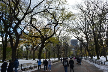 Fototapeta premium walking on the streets of nyc