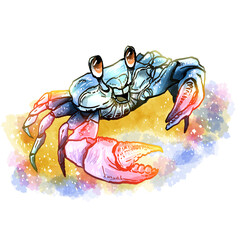 illustration of a crab © Dosiado