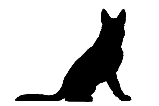 Silhouette of the body of a German Shepherd sitting on the side
