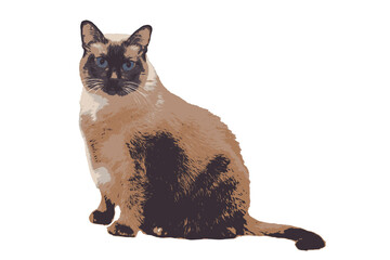 Digital drawing of a Siamese cat