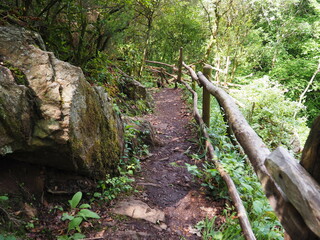 Fototapeta premium senderos formando la bonita ruta de senderismo de las gándaras, transcurriendo entre las aguas claras del río cabalar, robles y pastizales verdes, vilasantar, galicia, españa, europa