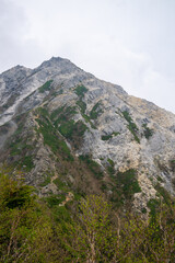 Fototapeta na wymiar 甲斐駒岳を見上げる