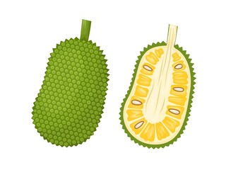 Vector illustration, Whole and half jackfruit isolated on a white background. Tropical fruit in flat style. - obrazy, fototapety, plakaty