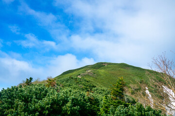 初夏の南アルプス　小仙丈ヶ岳