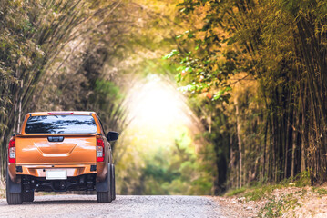 Pickup truck on the dirt road The two sides of the bamboo and dense bamboo tip bent end togetherLooks like a natural tunnel beautiful nature background. - obrazy, fototapety, plakaty