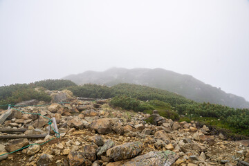 仙丈ケ岳の登山道　雲の中を歩く